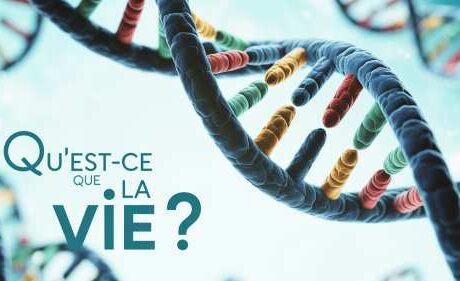 Sens de la vie