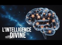 Intelligence créatrice